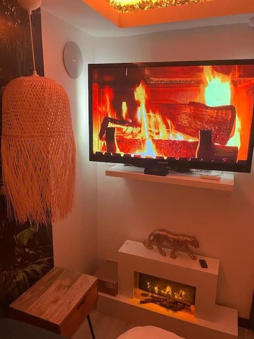 Jungle Avec Balneo A 10 Min De Disneyland Paris Appartement