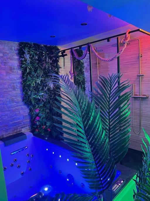 Apartment Jungle Avec Balneo A 10 Min De Disneyland Paris
